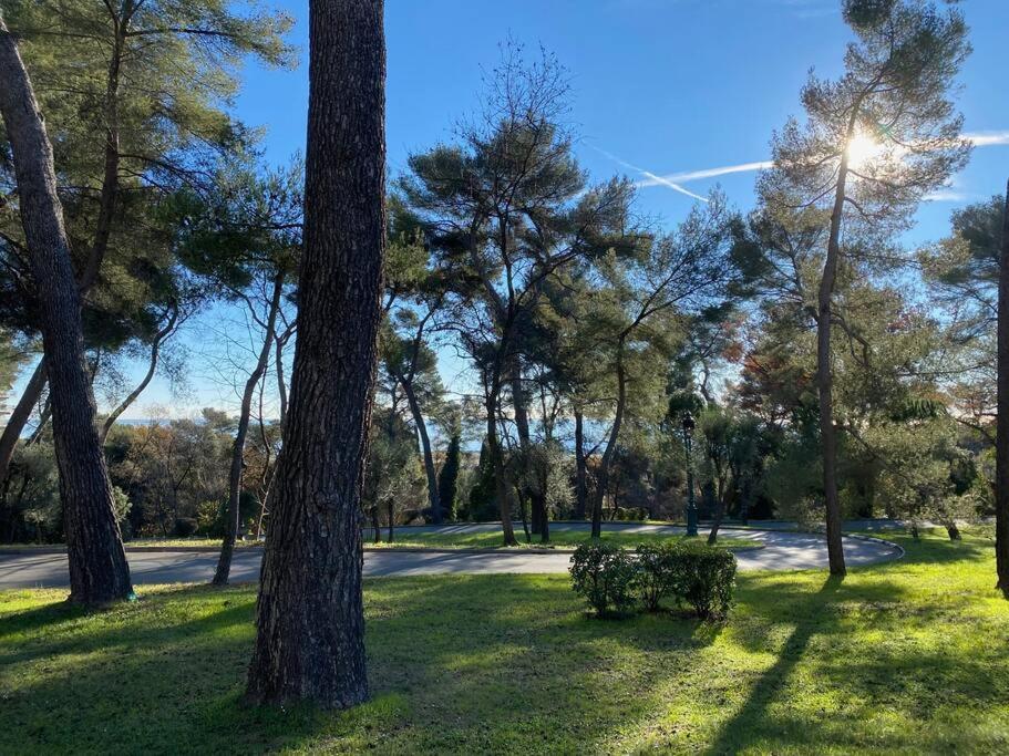 2-Room 60 M², Panoramic View, 2 Balconies, 50M Pool Cagnes-sur-Mer Kültér fotó